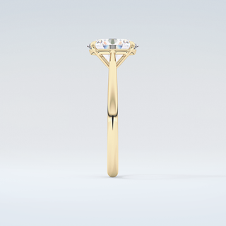 2.0 CT Oval Cut Solitaire Moissanite Engagement Ring 5