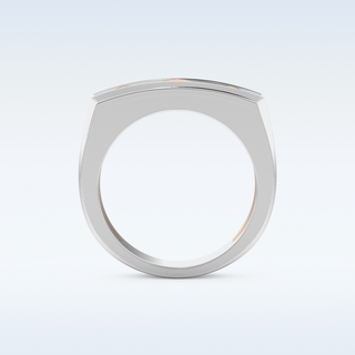 Flush Setting Style Wedding Band with Moissanite