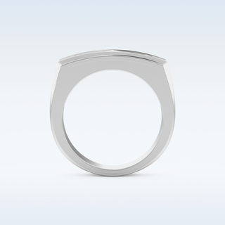 Flush Setting Style Wedding Band with Moissanite