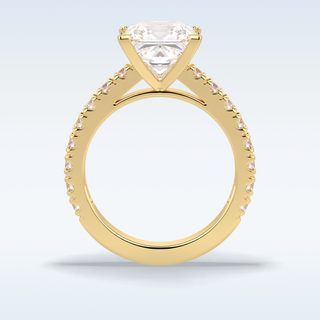 4.0 CT Pave Engagement Ring Featuring Princess Moissanite