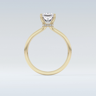 1.04 CT Hidden Halo Engagement Ring Featuring Princess Moissanite