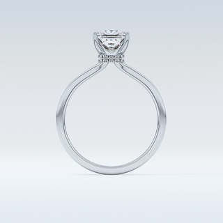 1.04 CT Hidden Halo Engagement Ring Featuring Princess Moissanite